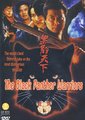 黑豹天下海报